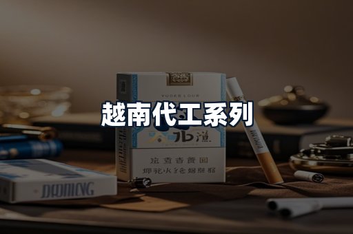越南代工系列